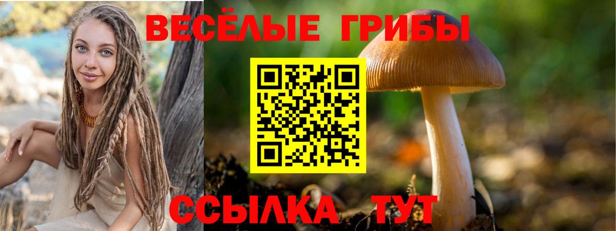 Псилоцибиновые грибы Psilocybine cubensis  Вход с VPN  Кизилюрт 
